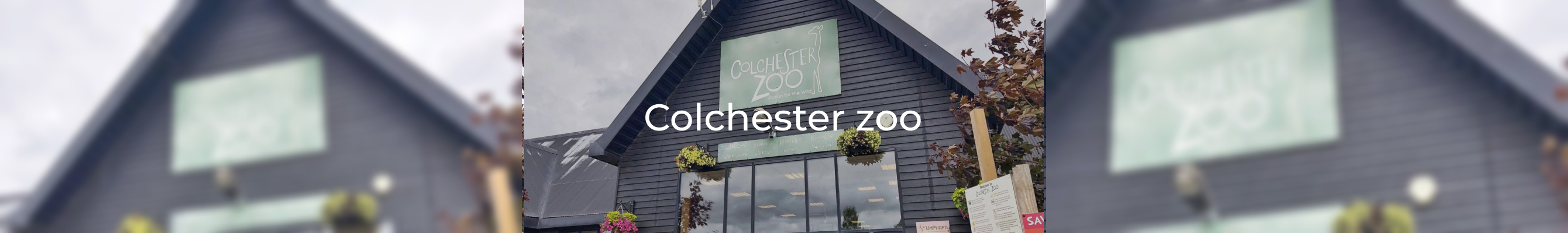 Colchester zoo